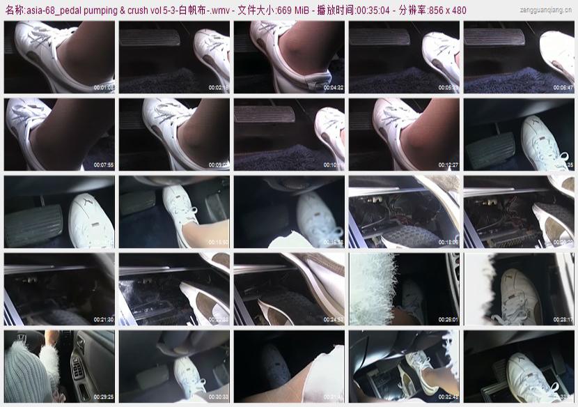 asia-68_pedal pumping & crush vol 5
